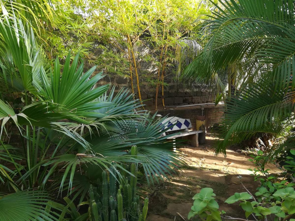 Harvest House Nicaragua Hotel Leon Luaran gambar